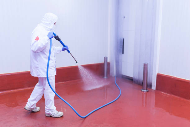 Best Patio and Deck Pressure Washing  in Georgetown, CT